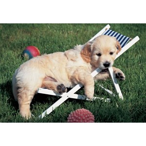 Ravensburger (14956) - "Easy Cuddly" - 204 brikker puslespil