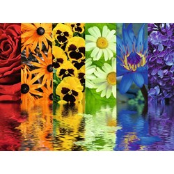 Ravensburger (16446) - "Floral Reflections" - 500 brikker puslespil