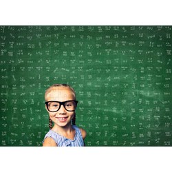 Puls Entertainment (55555) - "The Maths Puzzle, The first puzzle to calculate" - 300 brikker puslespil