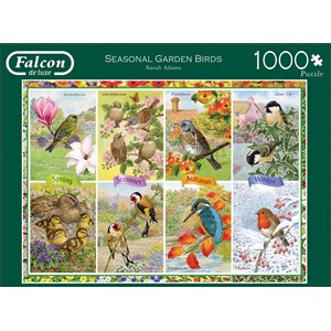 Falcon (11157) - "Seasonal Garden Birds" - 1000 brikker puslespil
