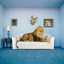 Clementoni (38500) - "The Master of the house" - 250 brikker puslespil