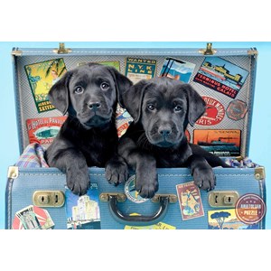 Anatolian (3601) - "Labrador hunde i kuffert" - 500 brikker puslespil