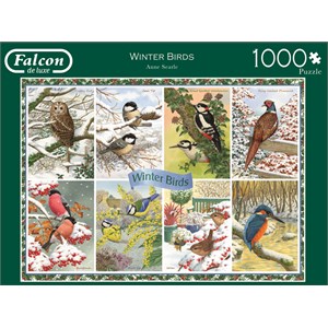 Falcon (11234) - Anne Searle: "Winter Birds" - 1000 brikker puslespil