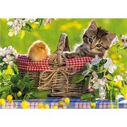 Jumbo (18801) - "Ready for a Picnic" - 500 brikker puslespil