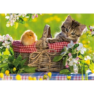 Jumbo (18801) - "Ready for a Picnic" - 500 brikker puslespil