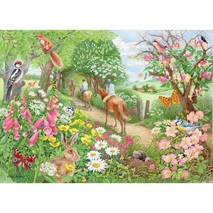 Falcon (11288) - Anne Searle: "An Afternoon Hack" - 1000 brikker puslespil