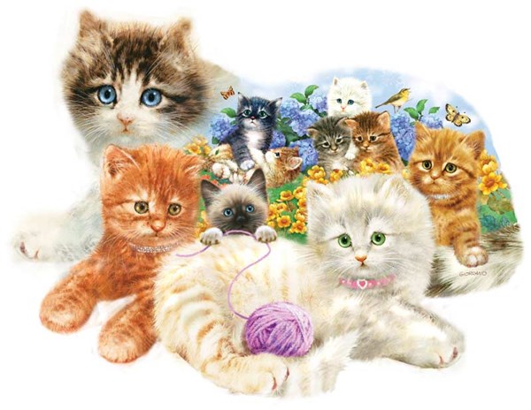 SunsOut (95958) - Greg Giordano: "A Litter of Kittens" - 1000 brikker puslespil