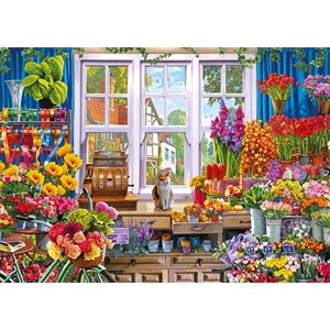 Falcon (11249) - Steve Crisp: "Your Favourite Shops" - 1000 brikker puslespil