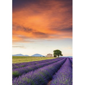 Schmidt Spiele (58364) - "Field of Lavender, Provence" - 500 brikker puslespil