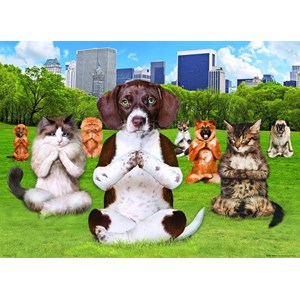 Eurographics (8300-5455) - "Yoga Park" - 300 brikker puslespil