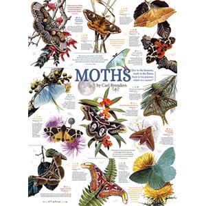 Cobble Hill (80016) - Carl Brenders: "Moth Collection" - 1000 brikker puslespil