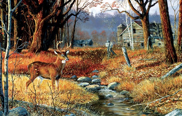 SunsOut (71246) - Terry Doughty: "Forgotten Valley" - 1000 brikker puslespil