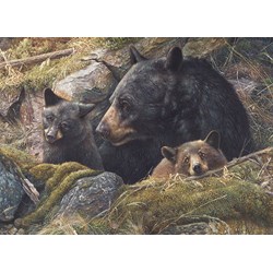 Cobble Hill (80012) - "Twice the Love" - 1000 brikker puslespil