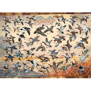 Cobble Hill (80263) - David A. Maass: "Ducks of North America" - 1000 brikker puslespil