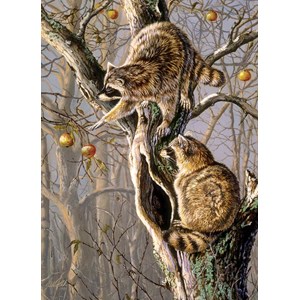 Cobble Hill (80192) - "Ringtail Raiders" - 1000 brikker puslespil