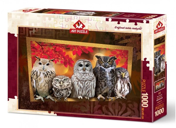 Art Puzzle (4375) - "Owls" - 1000 brikker puslespil