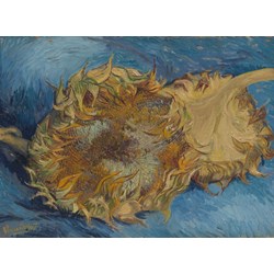 Grafika - Vincent van Gogh: "Sunflowers, 1887" - 2000 brikker puslespil