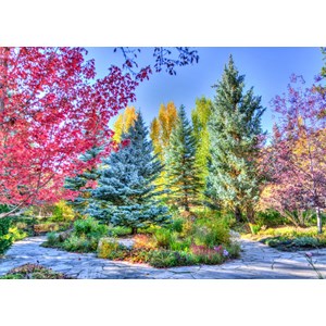 Grafika (t-00854) - "Colorful Forest, Colorado, USA" - 500 brikker puslespil