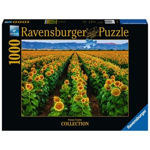 Ravensburger (15288) - Susan Taylor: "Field of Sunflowers" - 1000 brikker puslespil