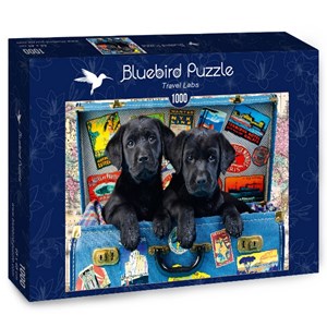 Bluebird Puzzle (70328) - Greg Cuddiford: "Travel Labs" - 1000 brikker puslespil