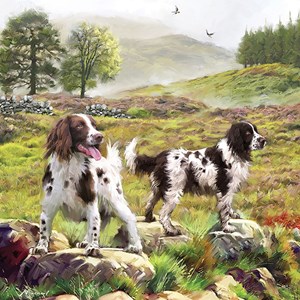 Otter House Puzzle (74132) - "Spaniels On The Moor" - 1000 brikker puslespil