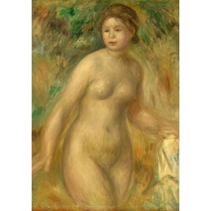 Grafika (01875) - Pierre-Auguste Renoir: "Nude, 1895" - 1000 brikker puslespil