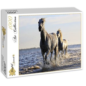 Grafika (01693) - "Horses" - 1000 brikker puslespil