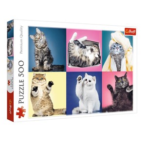 Trefl (37377) - "Kittens" - 500 brikker puslespil