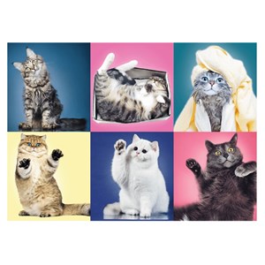 Trefl (37377) - "Kittens" - 500 brikker puslespil