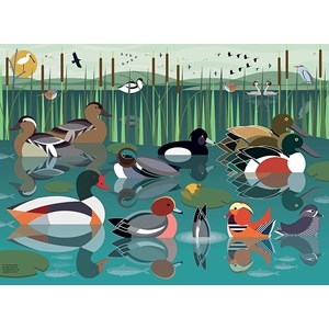 Ravensburger (16411) - "I Like Birds" - 500 brikker puslespil