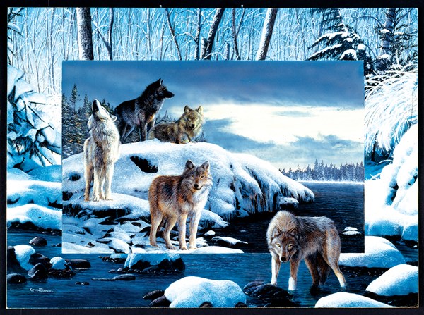 SunsOut (55763) - Kevin Daniel: "Ice Wolves" - 1000 brikker puslespil