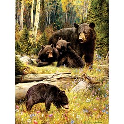 Cobble Hill (85036) - "Bears" - 500 brikker puslespil