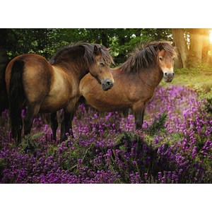 Ravensburger (14813) - "Ponies In The Heath" - 500 brikker puslespil