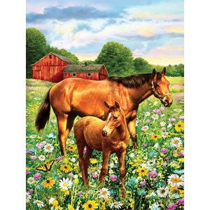 SunsOut (37174) - Greg Giordano: "Mare and Foal" - 500 brikker puslespil