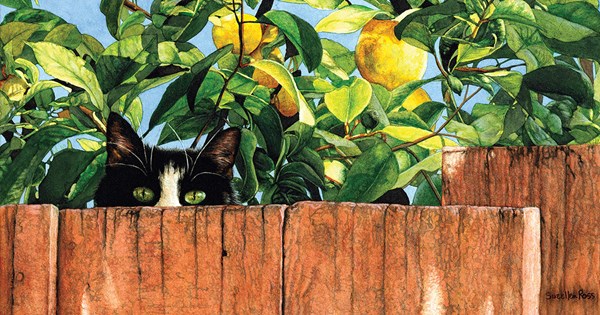 SunsOut (50968) - "Sylvester" - 500 brikker puslespil