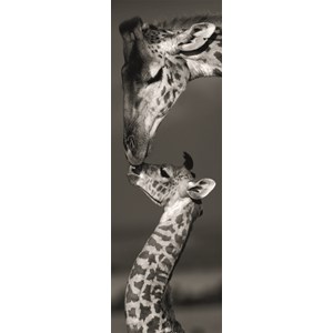 Dino (54537) - "Giraffes" - 1000 brikker puslespil