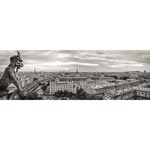 Dino (54541) - "Paris, France" - 1000 brikker puslespil