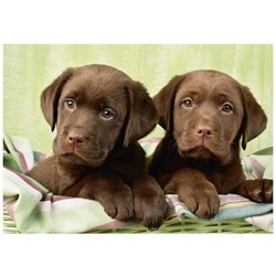 Dino (50244) - "Labradors" - 500 brikker puslespil