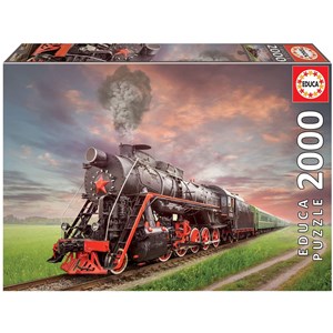 Educa (18503) - "Lokomotiv tog" - 2000 brikker puslespil