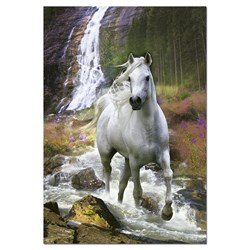 Educa (15509) - "Freedom" - 500 brikker puslespil