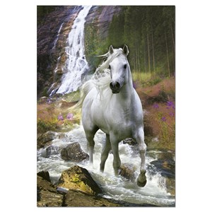 Educa (15509) - "Freedom" - 500 brikker puslespil