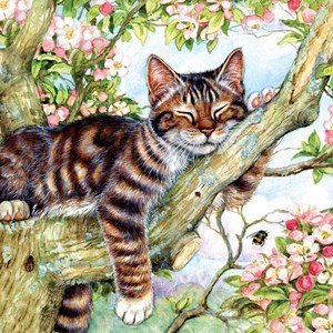 SunsOut (50423) - Debbie Cook: "Sleepy Cat" - 500 brikker puslespil