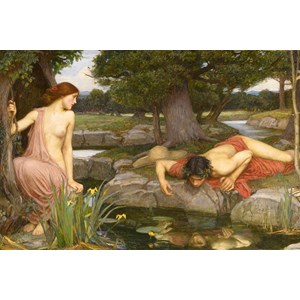D-Toys (75048) - John William Waterhouse: "Echo and Narcissus" - 1000 brikker puslespil