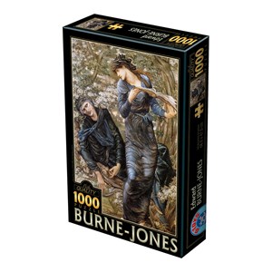 D-Toys (75024) - Edward Burne-Jones: "The Beguiling of Merlin, 1872-1877" - 1000 brikker puslespil