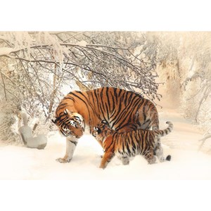 Deico (75987) - "Tigre dyr i sneen" - 1000 brikker puslespil