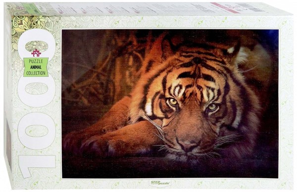 Step Puzzle (79142) - "Siberian tiger" - 1000 brikker puslespil