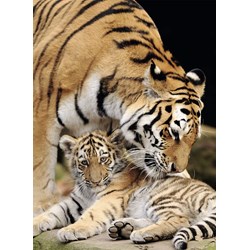 Nathan (87234) - "Moment of Tenderness" - 500 brikker puslespil