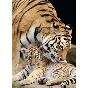 Nathan (87234) - "Moment of Tenderness" - 500 brikker puslespil