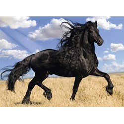 Nathan (87223) - "Horse" - 500 brikker puslespil