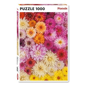 Piatnik (5518) - "Dahlias" - 1000 brikker puslespil